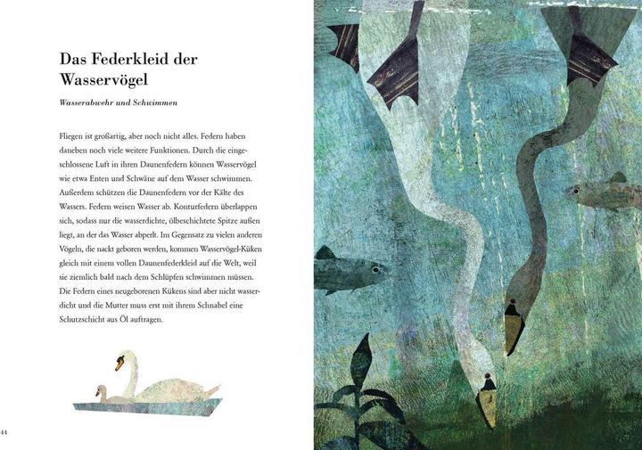 Produktbild Die Feder (Deutsch, Britta Teckentrup, 2018)