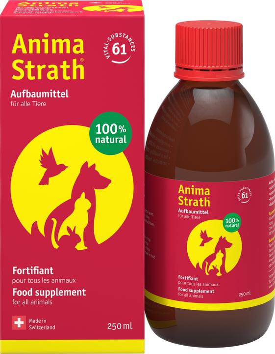 Produktbild Anima-Strath Flüssiges Aufbau- & Stärkungsmittel (Adult, 1 Stk., 0.25 g)