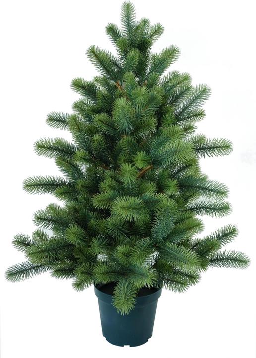 Produktbild Botanic-Haus Luxus (90 cm)