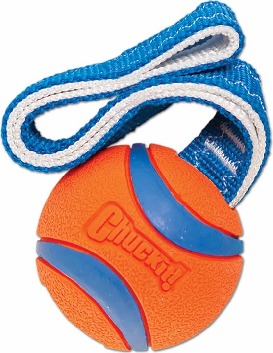 Image du produit Chuckit! Balle sur une corde szarpak 5 cm pour un chien (Jouet à mâcher pour chien)