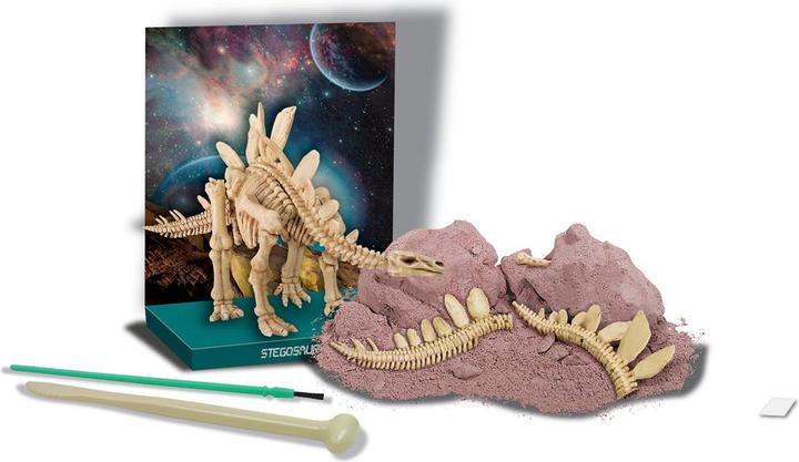 Actual product image 4M Dig a Stegosaurus Skeleton