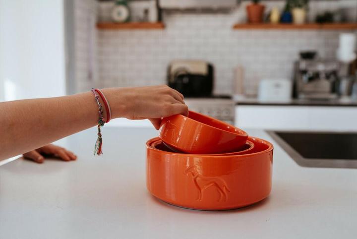 Produktbild Hunter Futternapf für Hunde OSBY Orange aus Keramik 1,1 L (110 cl)