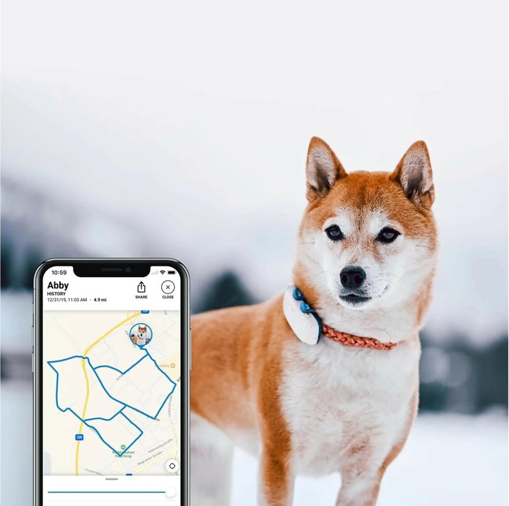 Actual product image Tractive Dog 4 GPS Tracker for Dogs (One size, Dog, General)