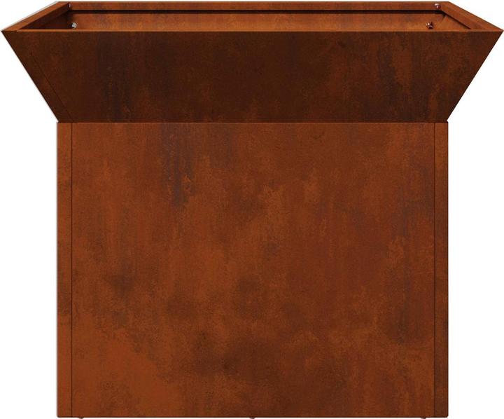 Immagine prodotto vidaXL Outdoor Feuerplatz (50 cm)