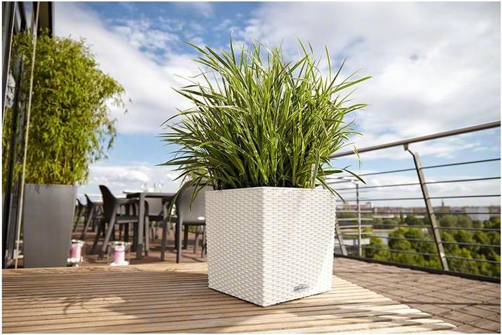Produktbild Lechuza Cube Cottage (30 cm)