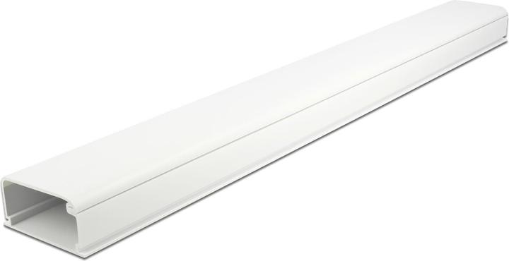 Produktbild Delock Kabelkanal mit Deckel 57 x 28 mm (Kabelkanal, 100 cm)