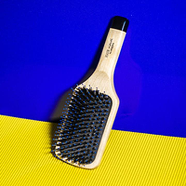 Image du produit Sisley La Brosse Brillance & Douceur