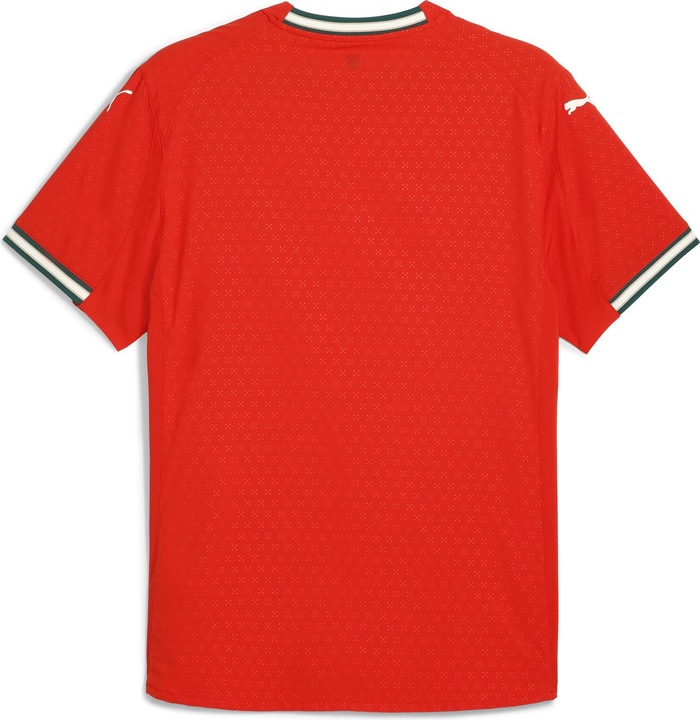 Productafbeelding Puma FPF Home Authentieke Trui (XL)