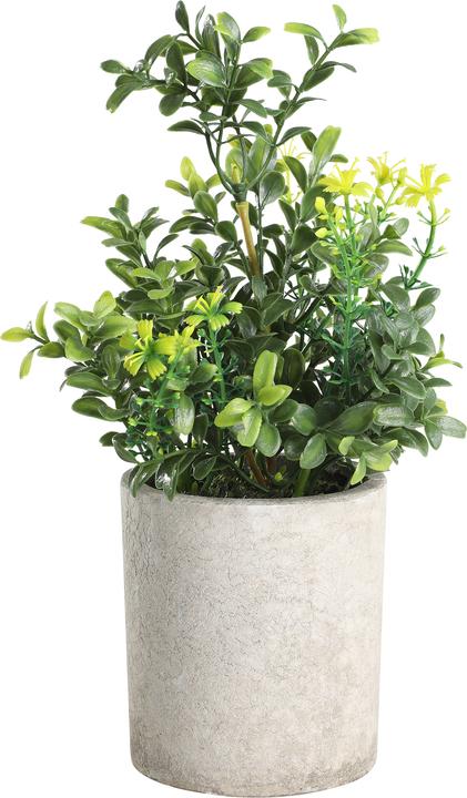 Actual product image EGLO LIVING Chitose (25 cm)