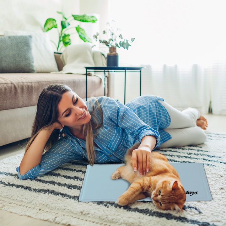 Image du produit Relaxdays Tapis réfrigérant (Chien)