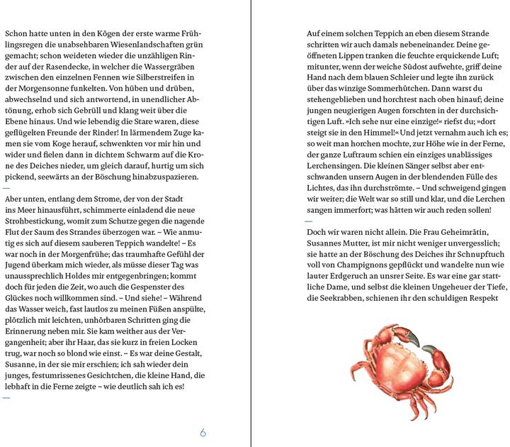 Actual product image Eine Halligfahrt (German, Theodor Storm, 2018)