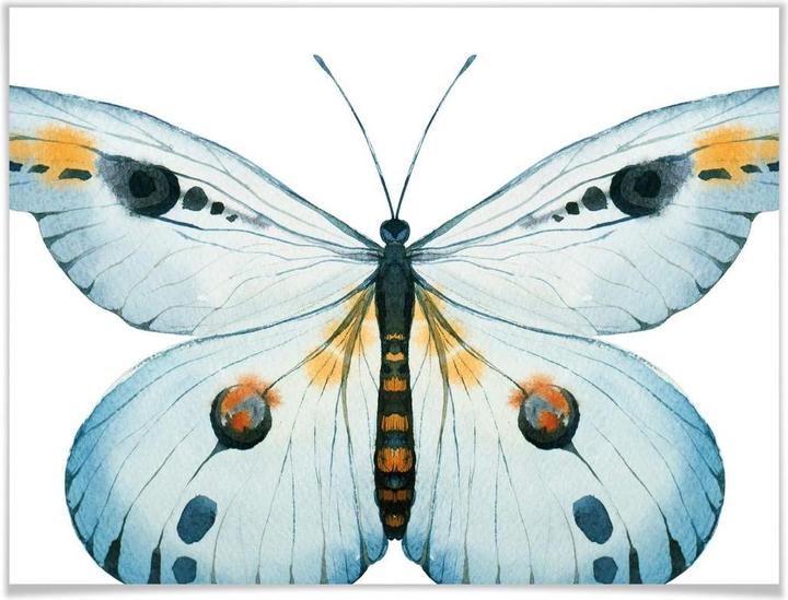 Actual product image Trenddeko Kvilis - Butterfly 03 (50 x 40 cm)