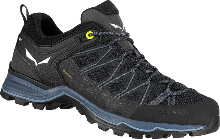 Produktbild Salewa MTN Trainer Lite GTX Schuhe (40)