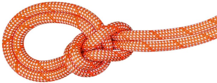 Actual product image Mammut 9.8 Crag Classic climbing rope (50 m)