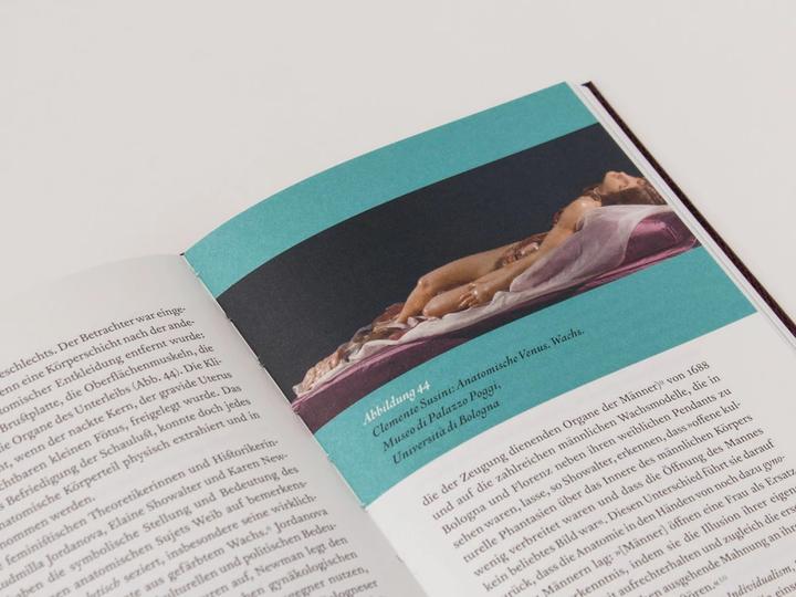 Produktbild Signora Ann, Anatomin der Aufklärung (Deutsch, Rebecca Messbarger, 2015)