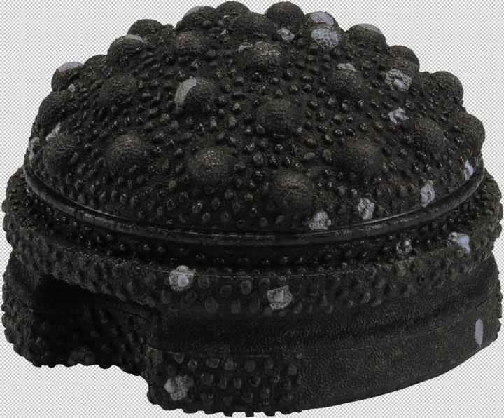 Produktbild Blackroll Twister