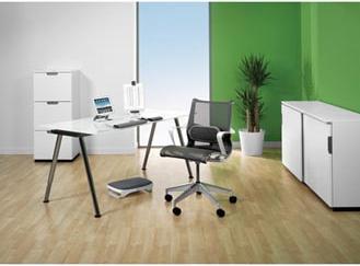 Produktbild Fellowes Lendenkissen (35 x 6 x 16 cm)