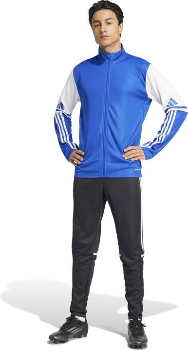 Actual product image adidas Squadra 25 training jacket (XL)