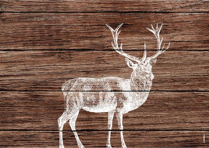 Image du produit Trendform Deer Lodge (42 x 30 cm)