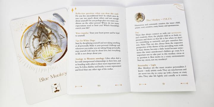 Image du produit Maya Astro Cards: 44 astrological oracle cards with booklet (Anglais, Bianca Feddersen, 2024)