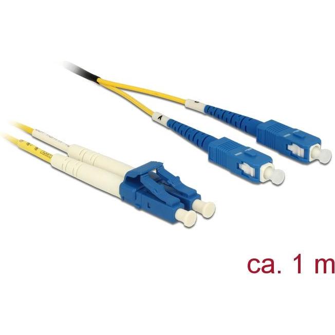Delock Netzwerkkabel (CAT6, 1 m), Netzwerkkabel