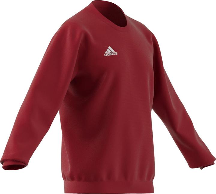 Actual product image adidas Entrada 22 sweatshirt men (XL)