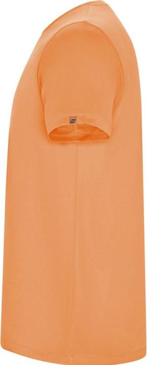 Actual product image Alpinia Mens Imola Short-Sleeved Sports T-Shirt (L)