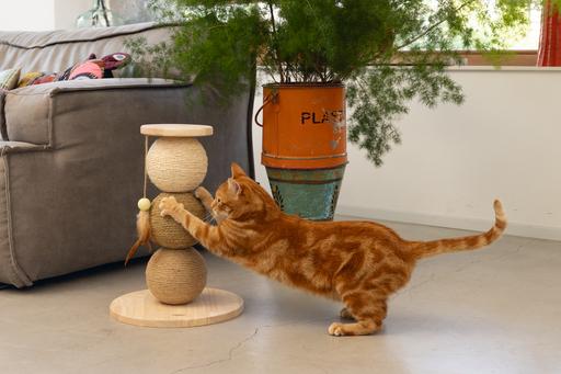 Actual product image Designed by Lotte Elio (47.50 cm, Beige)