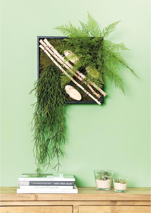 Produktbild Opiflor Birkenäste gebündelt 1-2.5 x 50 cm