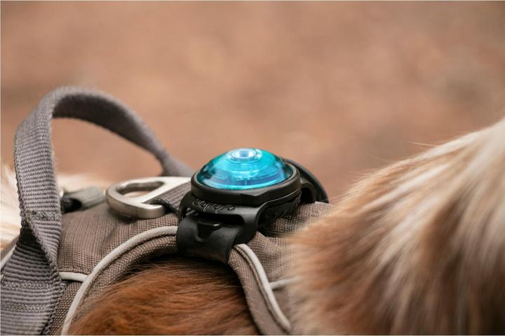 Image du produit Orbiloc Safety Light Dog Dual (Taille unique, Chien)