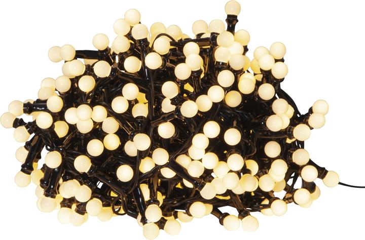 Actual product image Star Trading Berry Mini (6 m)