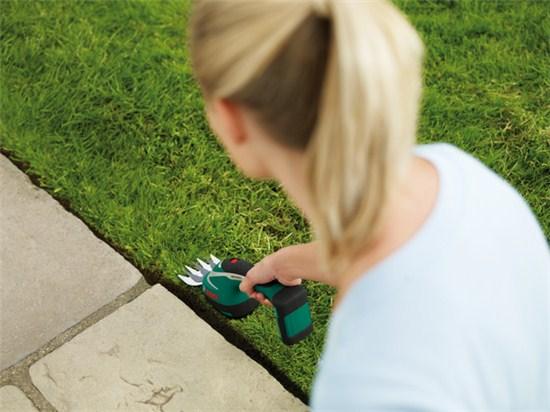 Actual product image Bosch Home & Garden ASB 10.8 LI Set (Cordless hedgecutters)