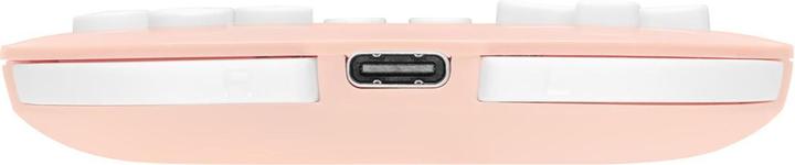 Actual product image 8bitdo Zero 2 (Switch, Mac, PC, Android)