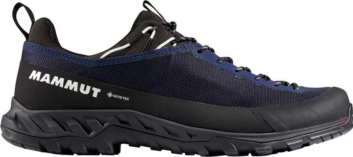 Produktbild Mammut Alnasca IV Low GTX Men (47, 47.5)