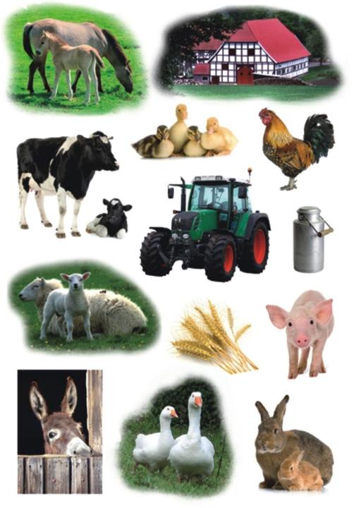 Immagine prodotto HERMA Adesivi della fattoria