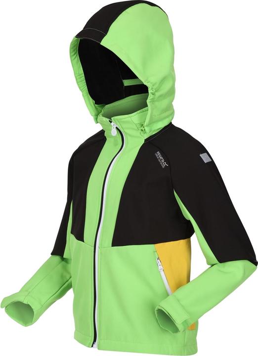 Produktbild Regatta Haydenbury Softshelljacke (146, 152)