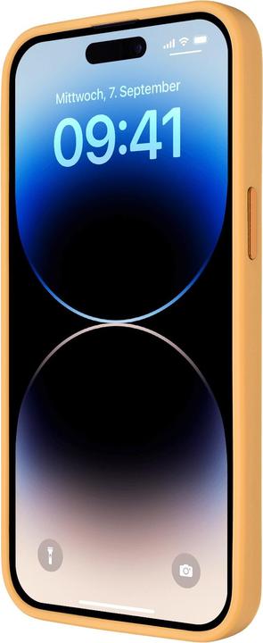 Actual product image Artwizz IcedClip Case (Apple iPhone 14 Pro)