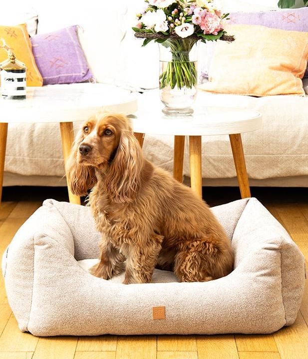Image du produit Pet & Co. Kingston (Chien)