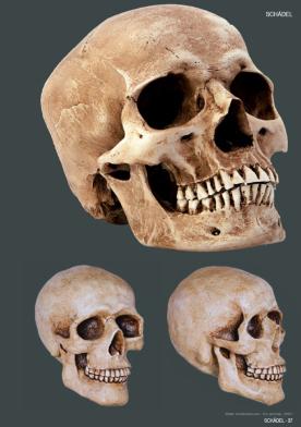 Produktbild Skulls & Bones (Deutsch, Johann Barnas, 2014)