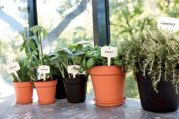 Actual product image Elho Green Basics (17 cm)