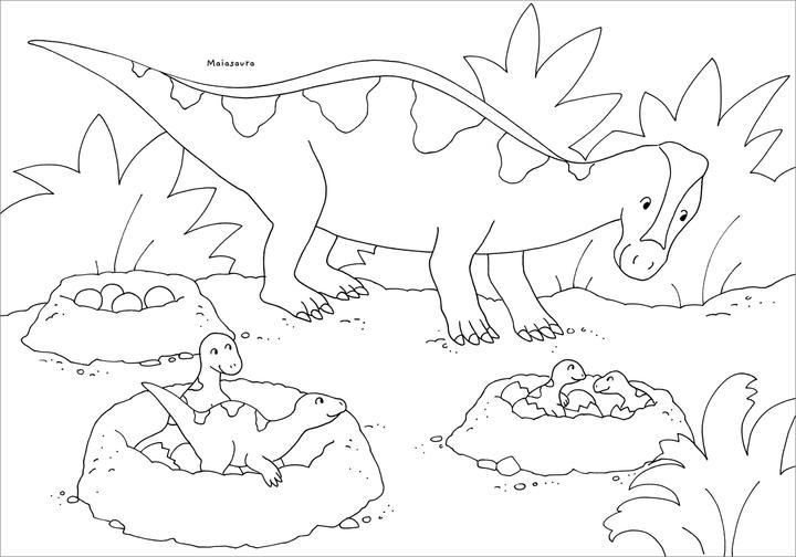 Image du produit Tessloff Mon plus beau livre de coloriage. Dinosaures