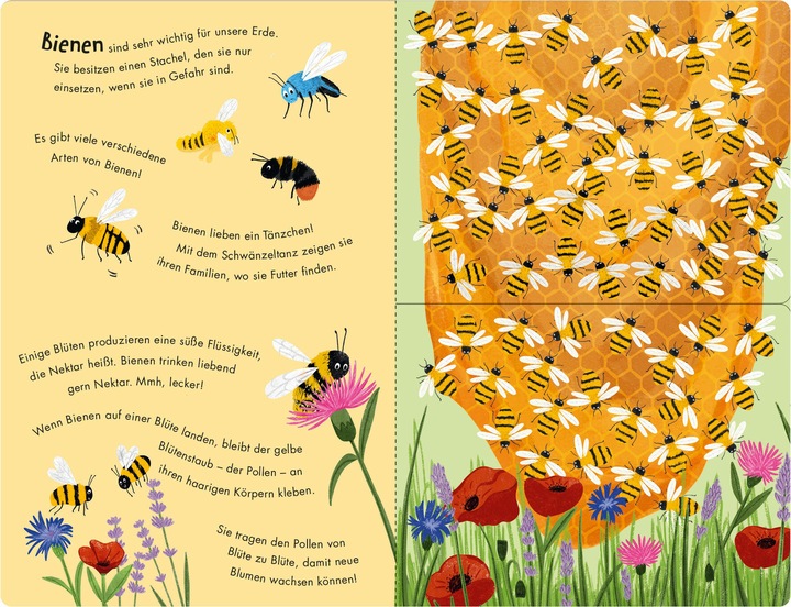 Produktbild Bienen & Käfer – Ein Klipp-Klapp-Buch über Krabbeltiere (Deutsch)