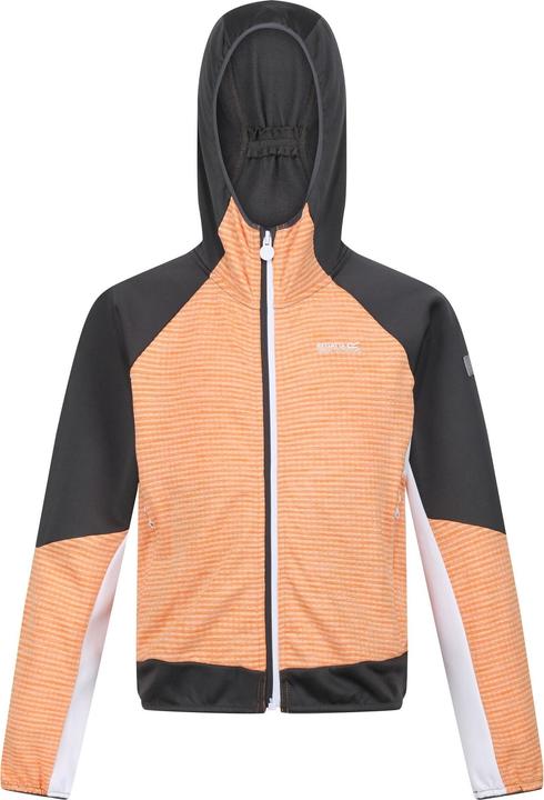 Produktbild Regatta Prenton II Softshelljacke mit Kapuze (170, 176)