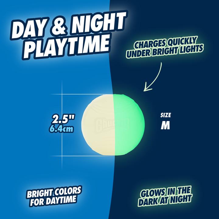 Immagine prodotto Chuckit! Palla luminescente (Palla giocattolo per cani)