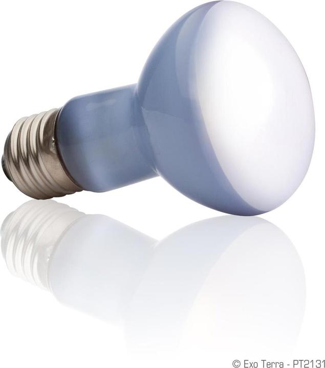 Image du produit Exo Terra Spot de lumière du jour 50W (UVA)