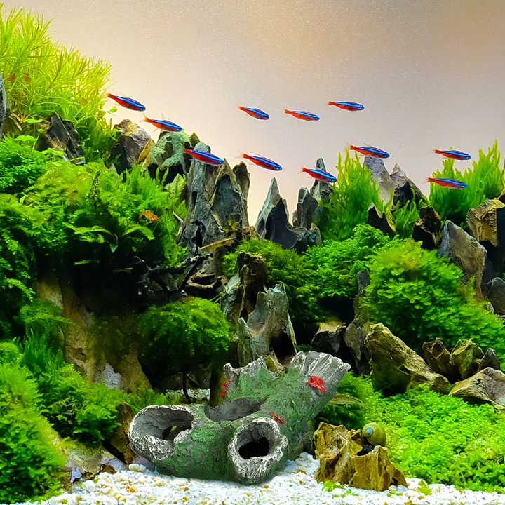 Productafbeelding Relaxdays Aquarium decoratie (Decoratie, Andere objecten)