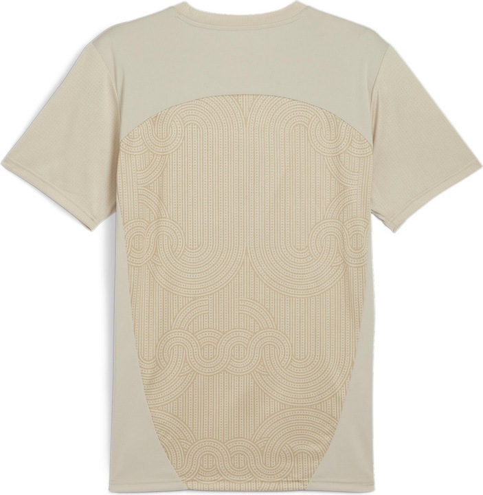 Actual product image Puma ACM Prematch SS Jersey (XS)
