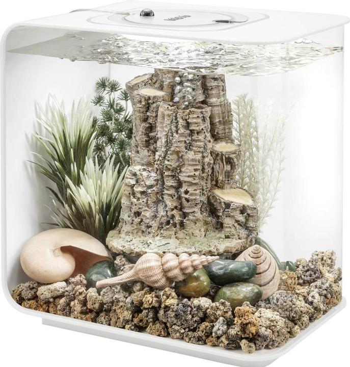 Oase biOrb 86372 biOrb Decor Set Forest Rhythym Aquarium Decoration (Embellishment, other items)