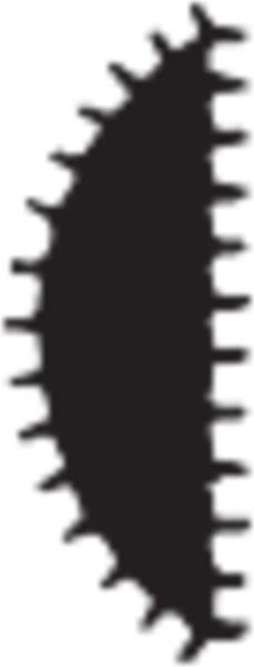Actual product image Friedr. Dick Half-round file with GARANT 2C handle cut 2 (Cut 2, 200 mm)