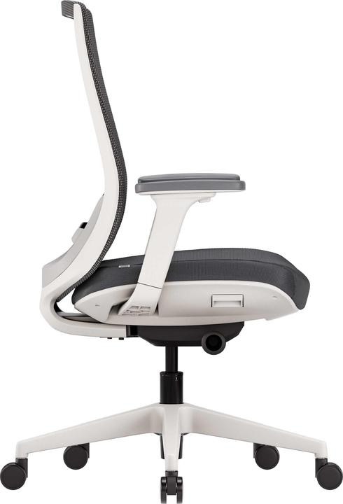 Actual product image ofinto Ergo